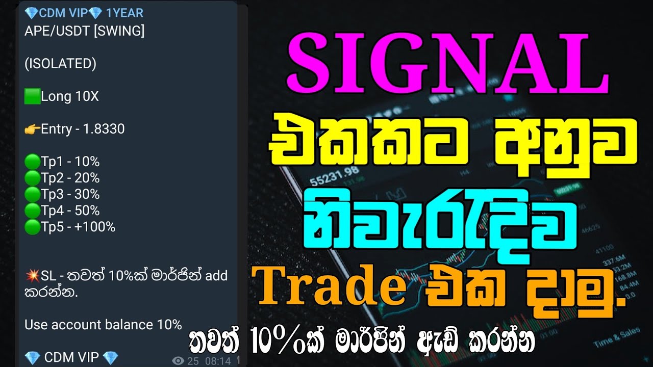 Signal එකකට නිවැරැදිව  trade  කරන්නෙ මෙහෙමයි. | Binance Future Trading | Chavi de mel