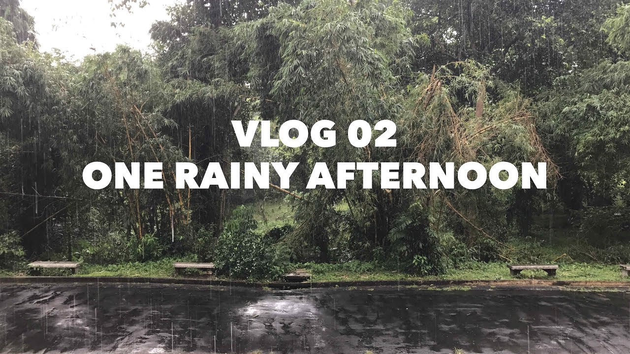 VLOG 02 - One rainy afternoon