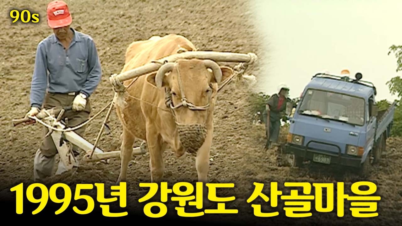 일하고, 먹고, 쉬는 90년대 산골마을 VLOG | 옛날티브이 고전영상 옛날영상