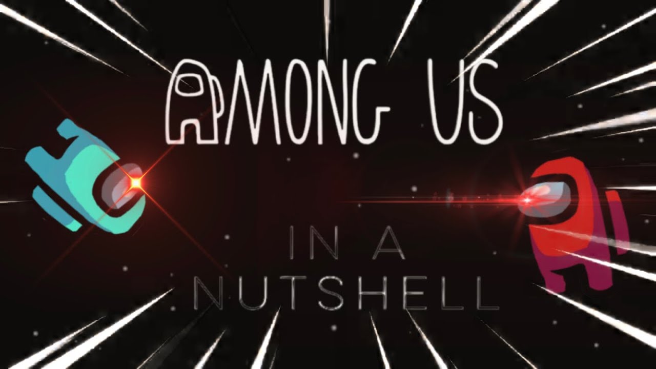 Among Us in a Nutshell