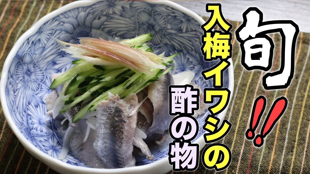 これは覚えたほうがいい！イワシの手開きから丁寧に教えます。『入梅イワシの酢の物』作り方。
