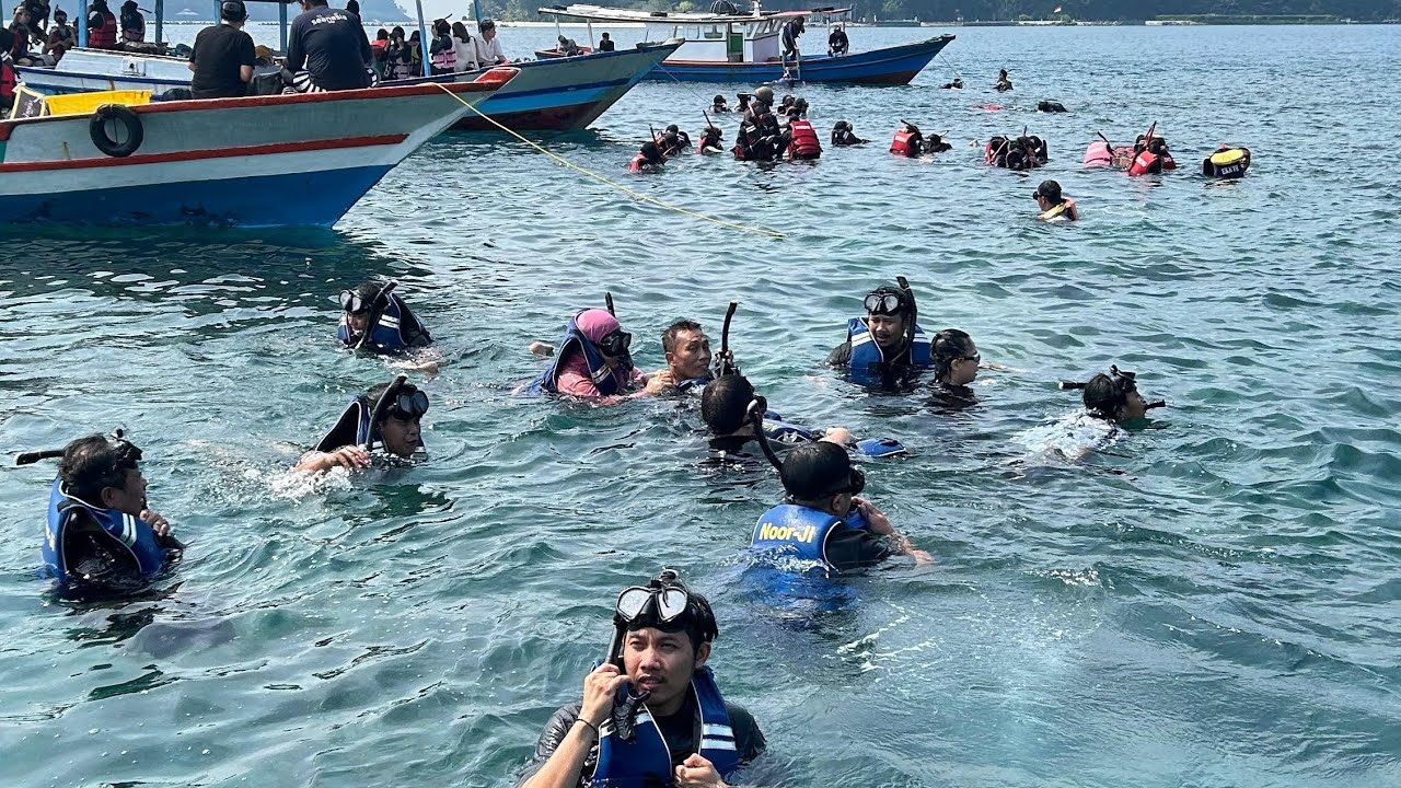 snorkling di pulau dolphin