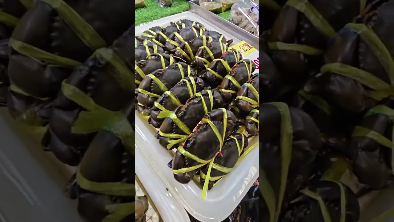 Ринок морепродуктів у Паттайї 🦐 Свіжі морські делікатеси з льоду