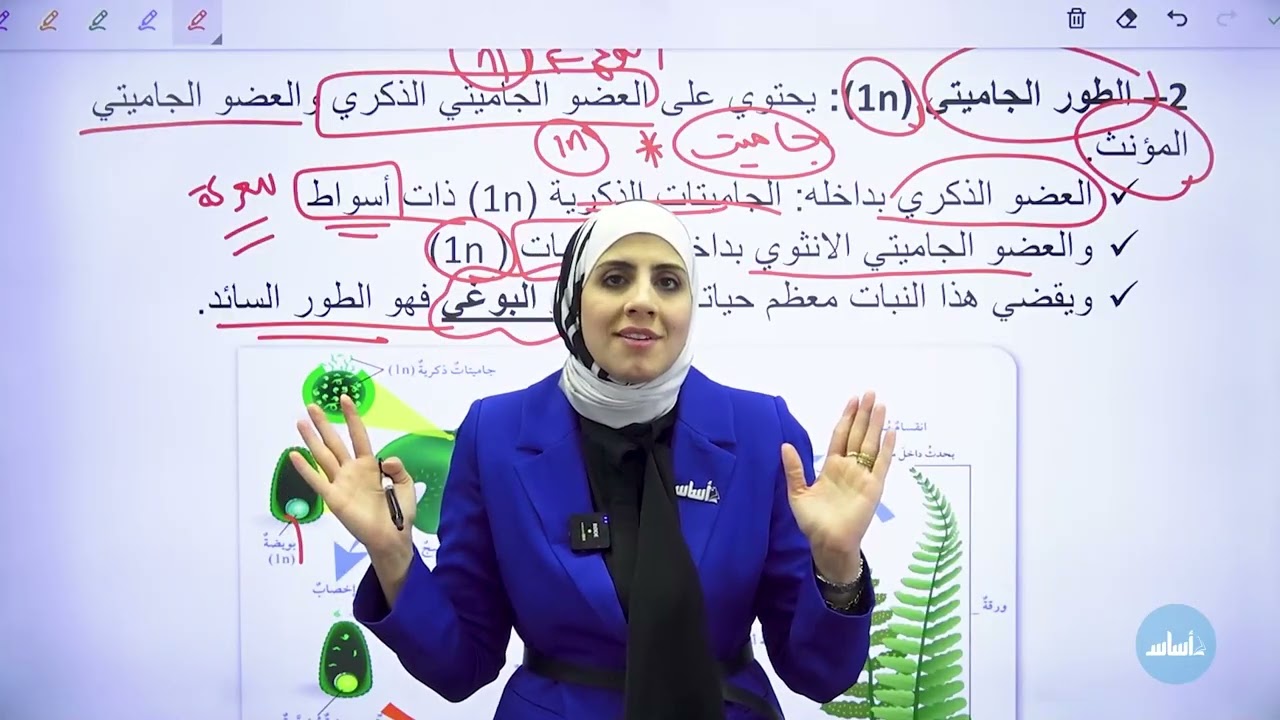 العاشر 🔟 - أحياء  النباتات الوعائية اللابذريه الفصل الدراسي الثاني مع أ. نهى توبة