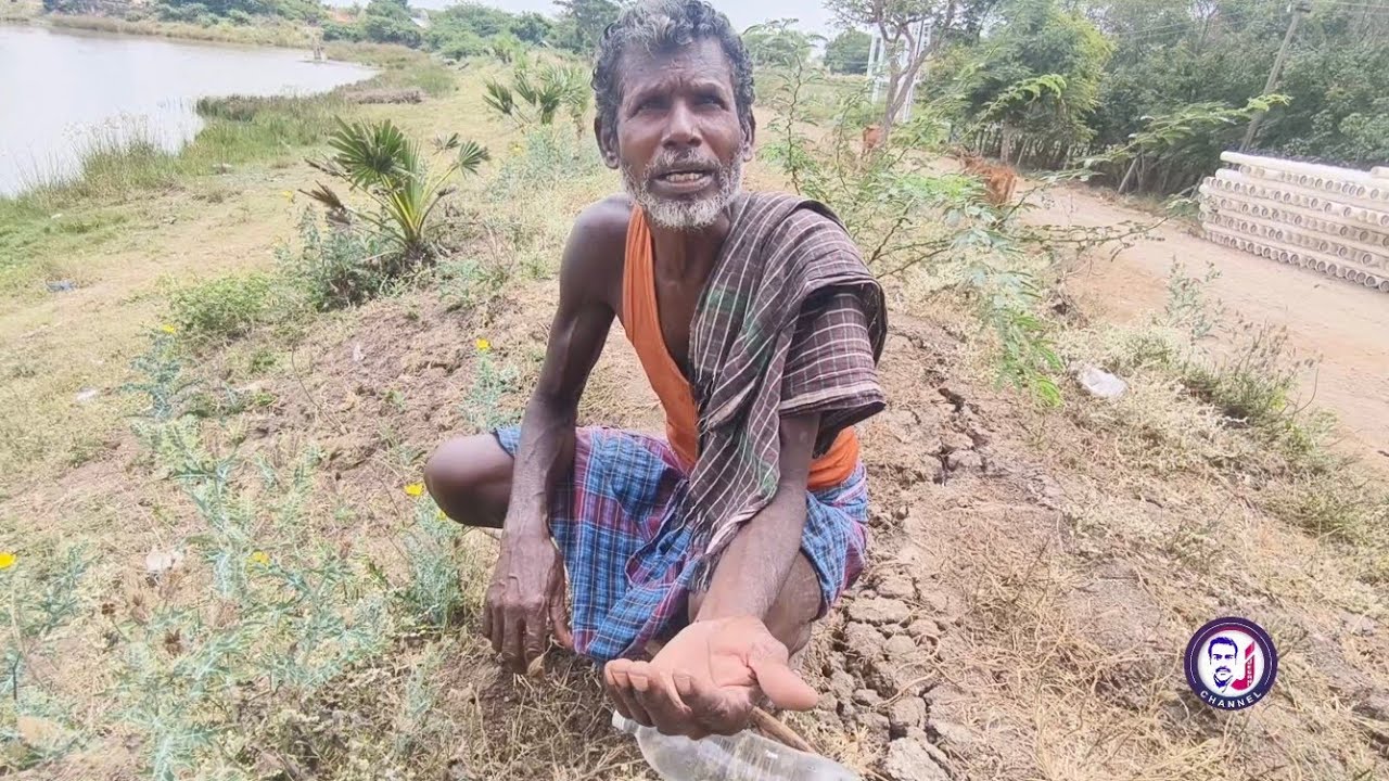 கிராமத்து மூலிகை தாவரம் நீங்கள் இதை பார்த்ததுண்டா மக்களே /Sayalgudi Jegan 