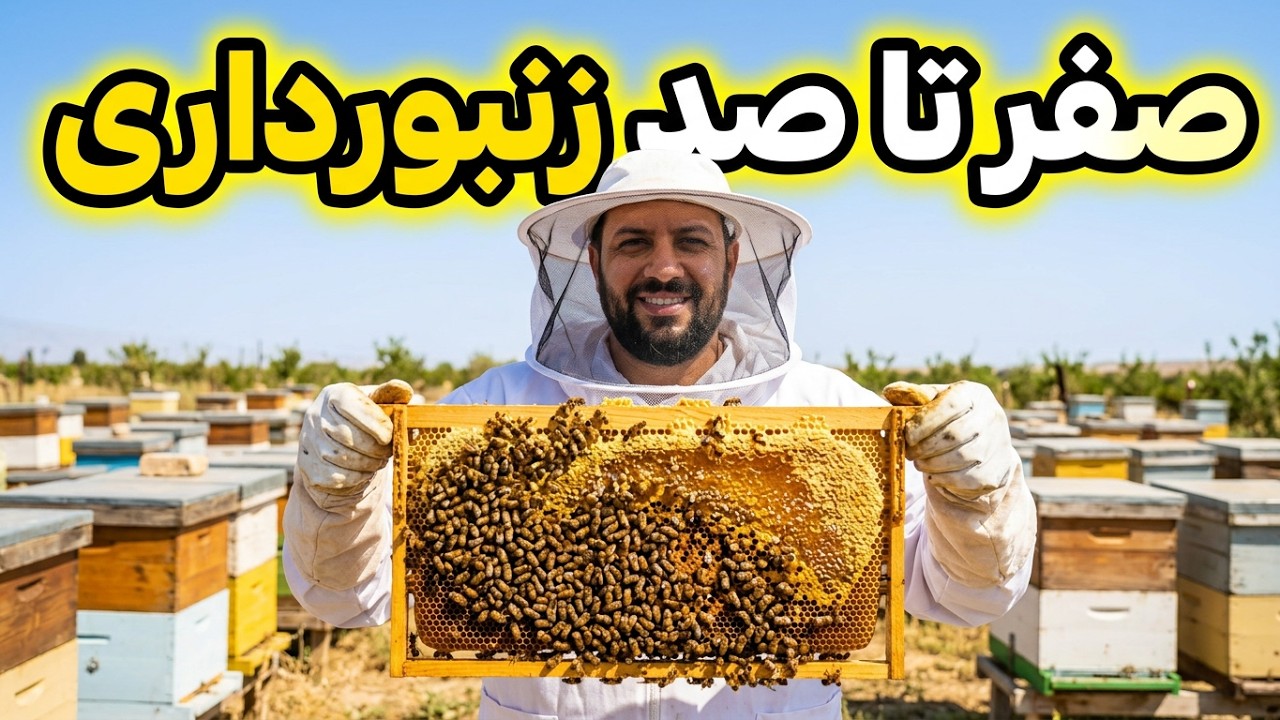 آموزش زنبورداری،آموزش پرورش زنبور عسل ،صفر تا صد زنبورداری