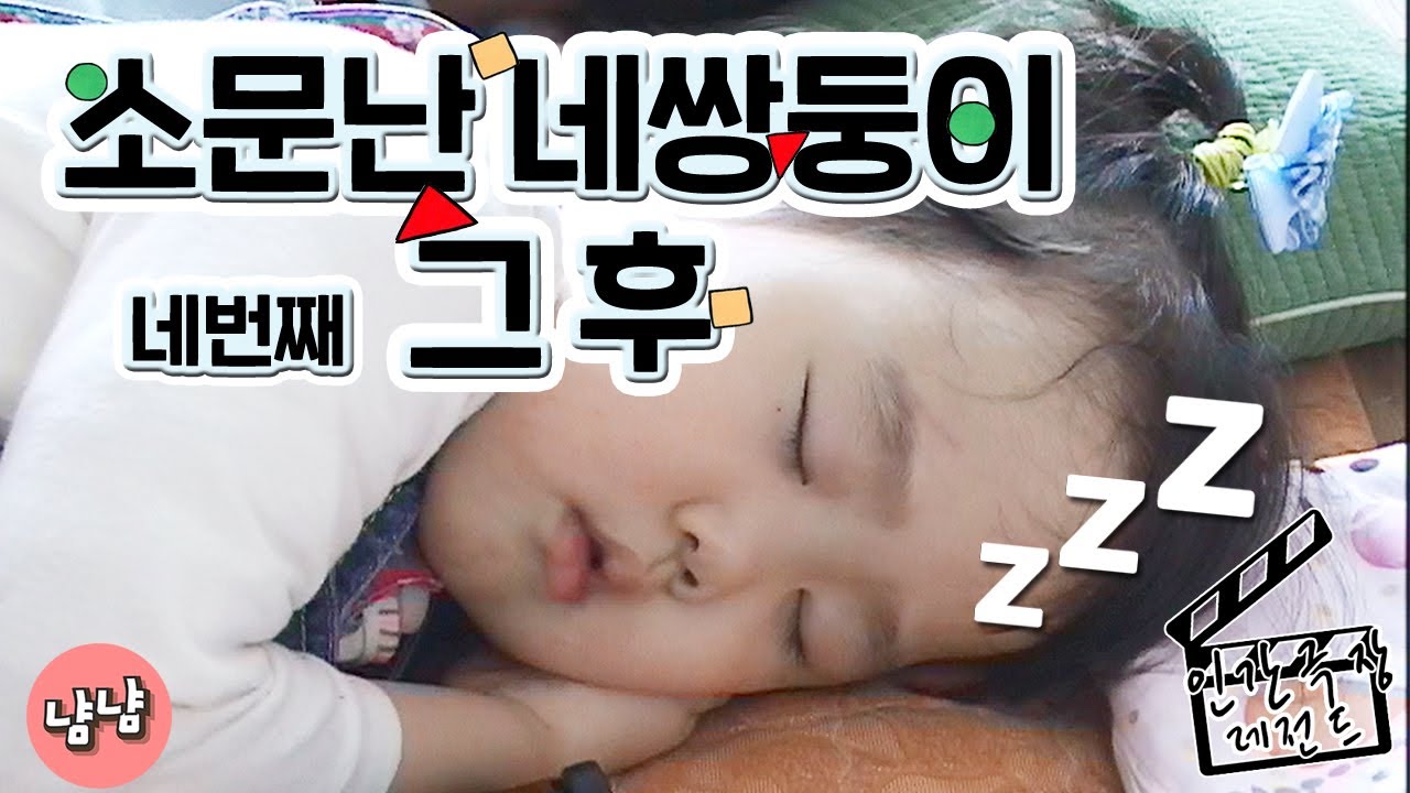[인간극장 레전드 #6-4] 소문난 네쌍둥이, 그 후 (4/5)