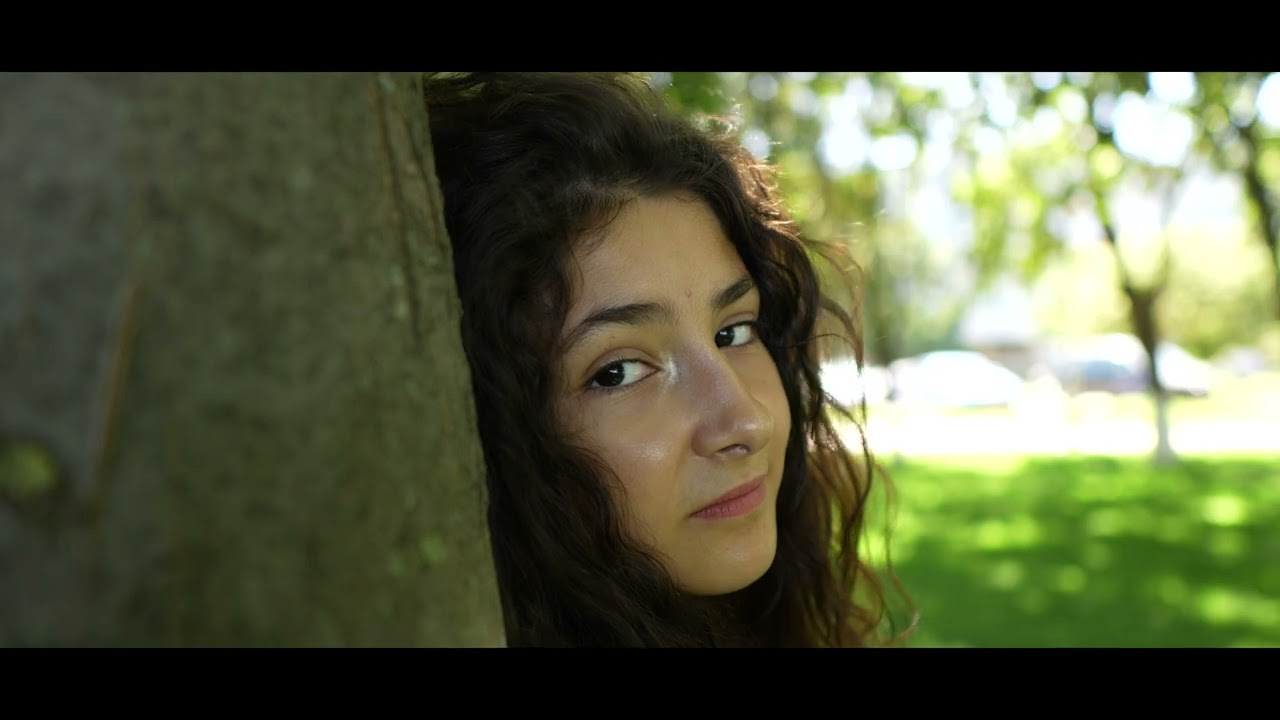 Carla Dinu - La nevedere ( Cover )