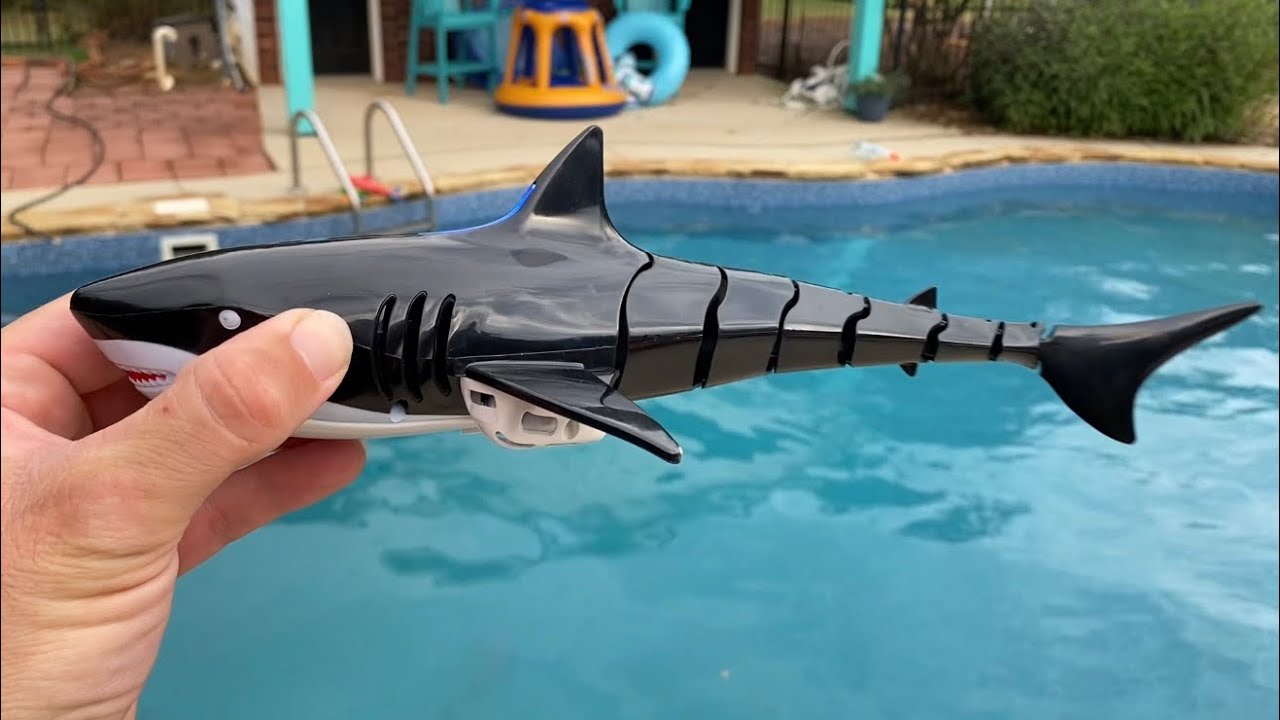 Fun Remote Control Shark!