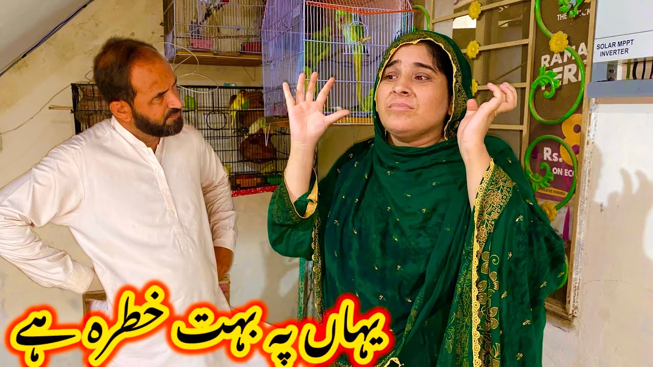 There is a lot of danger here  | Nabeela rashid vkog