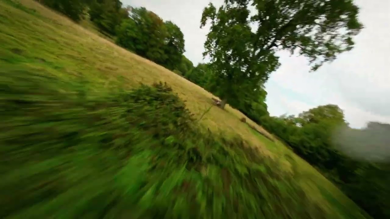 FPV Chill Time // Emax Babyhawk 03
