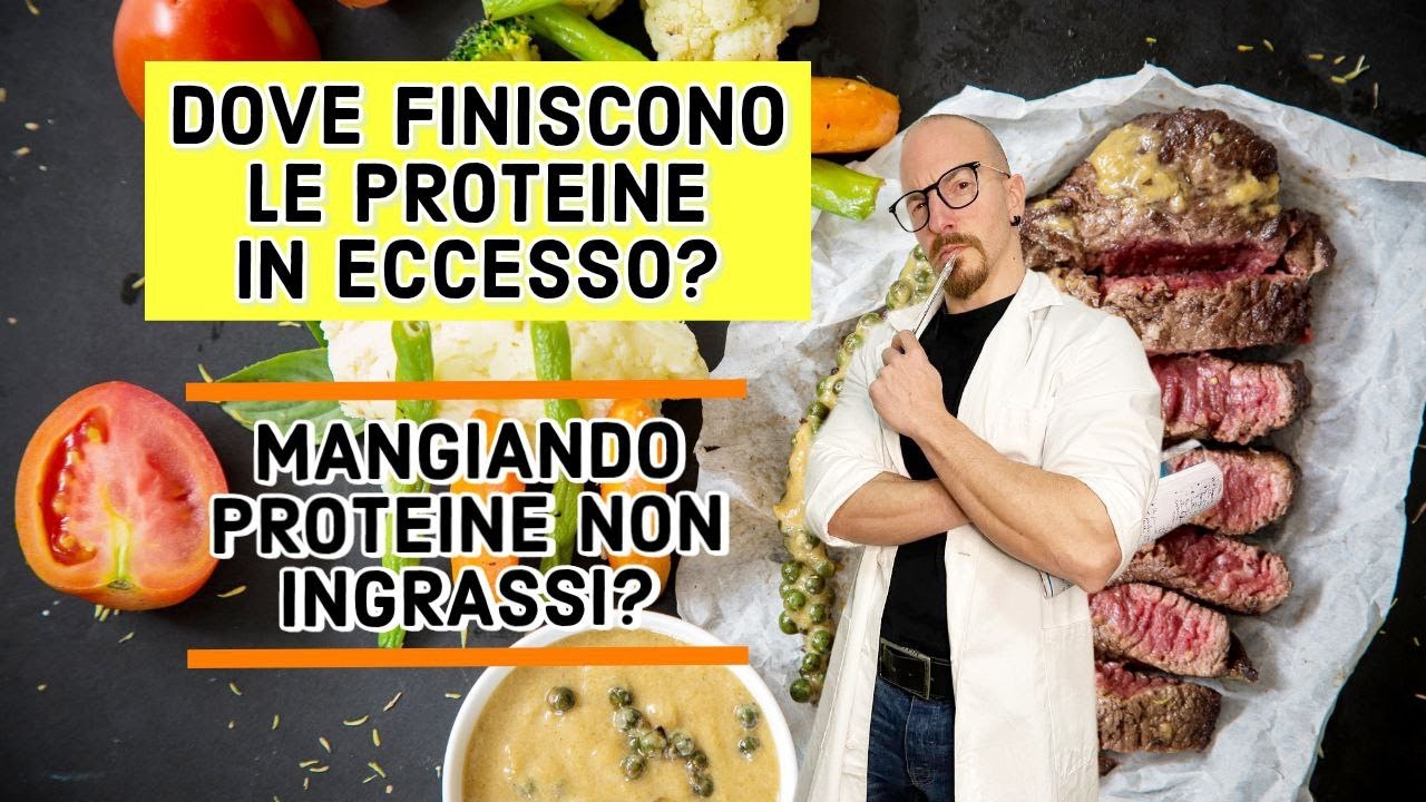 CIBI PROTEICI: Dove finiscono le proteine che mangiamo in eccesso? NUTRIZIONE | FITNESS | SPORT