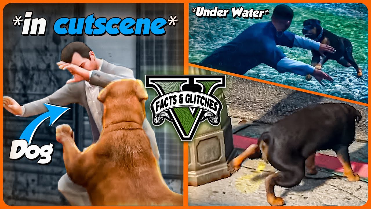 GTA 5's Animals Are BROKEN! - Let Me Ruin Them For You (Facts and Glitches)