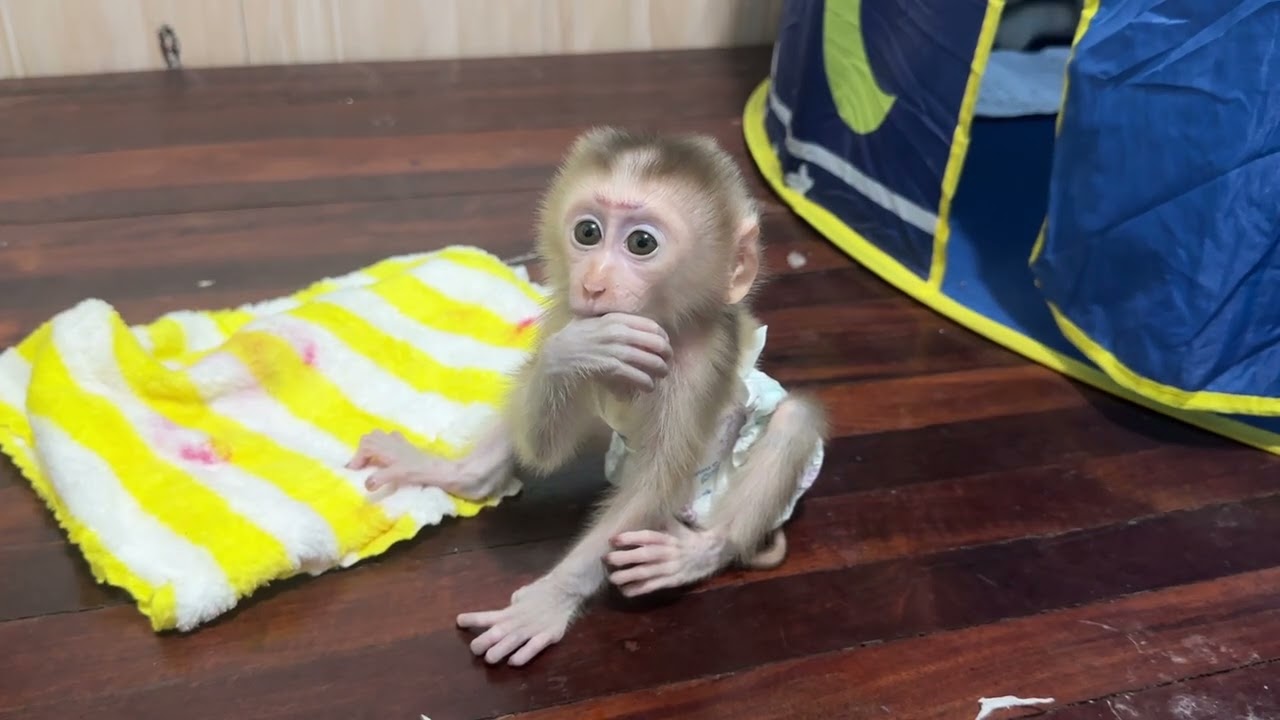 Very nice baby 