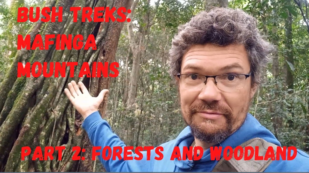 Bush Treks - Mafinga Mountains: Part  2 - Forests and woodland