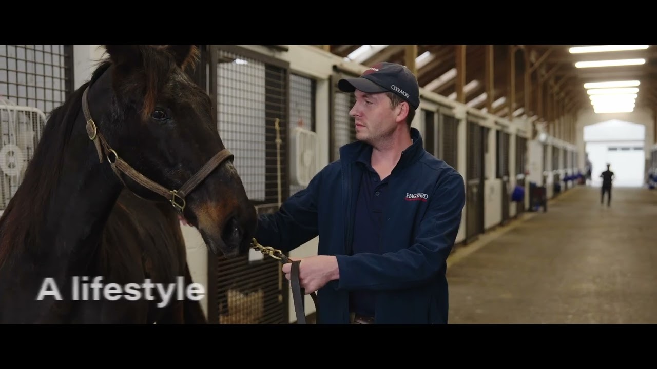 Hagyard's 150th Anniversary