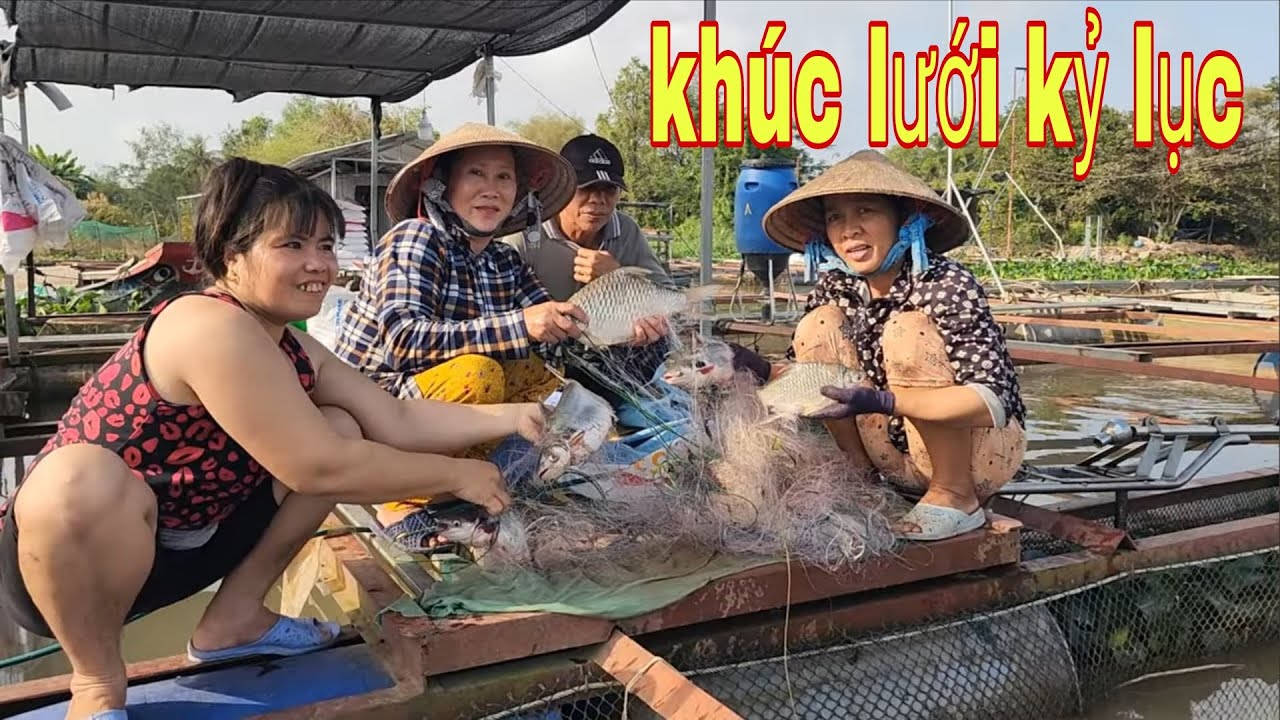 Thăm Lưới Thấy Cá Dính Quá Nhiều Nên Ai Cũng Chạy Lại Xem Quá Vui # SĂN BẮT ĐỒNG THÁP #