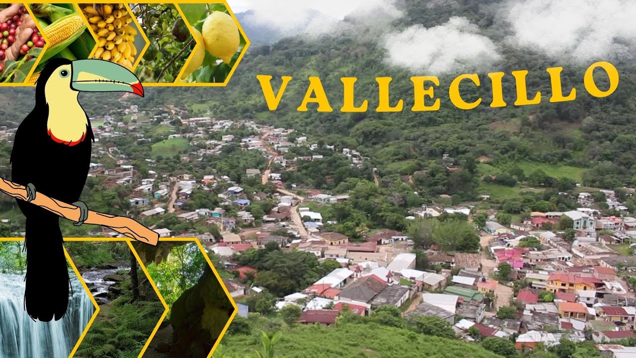 VALLECILLO, FRANCISCO MORAZAN HONDURAS.