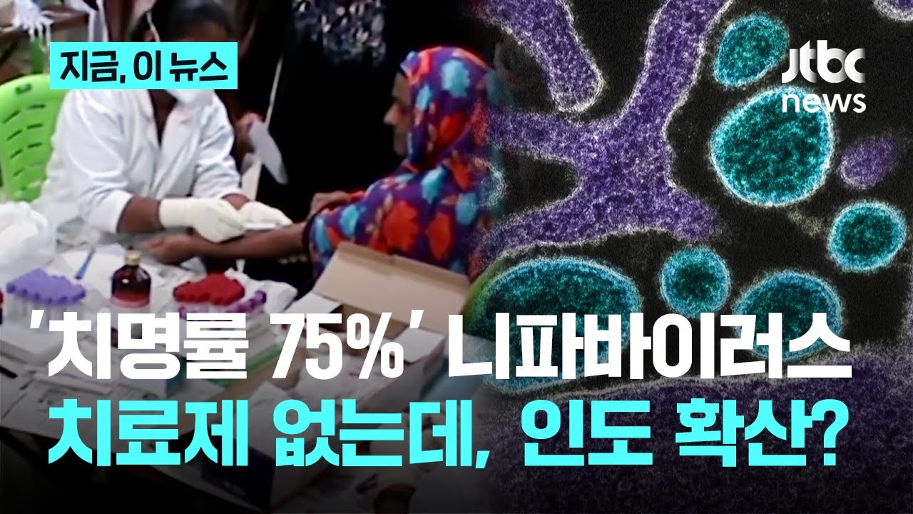 '치명률 최대 75%' 니파바이러스…인도서 확산 조짐 '비상'｜지금 이 뉴스