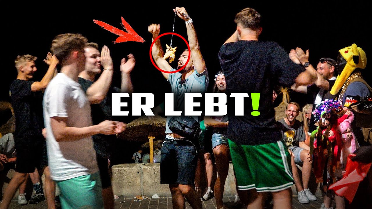 Komplette Eskalation auf Mallorca