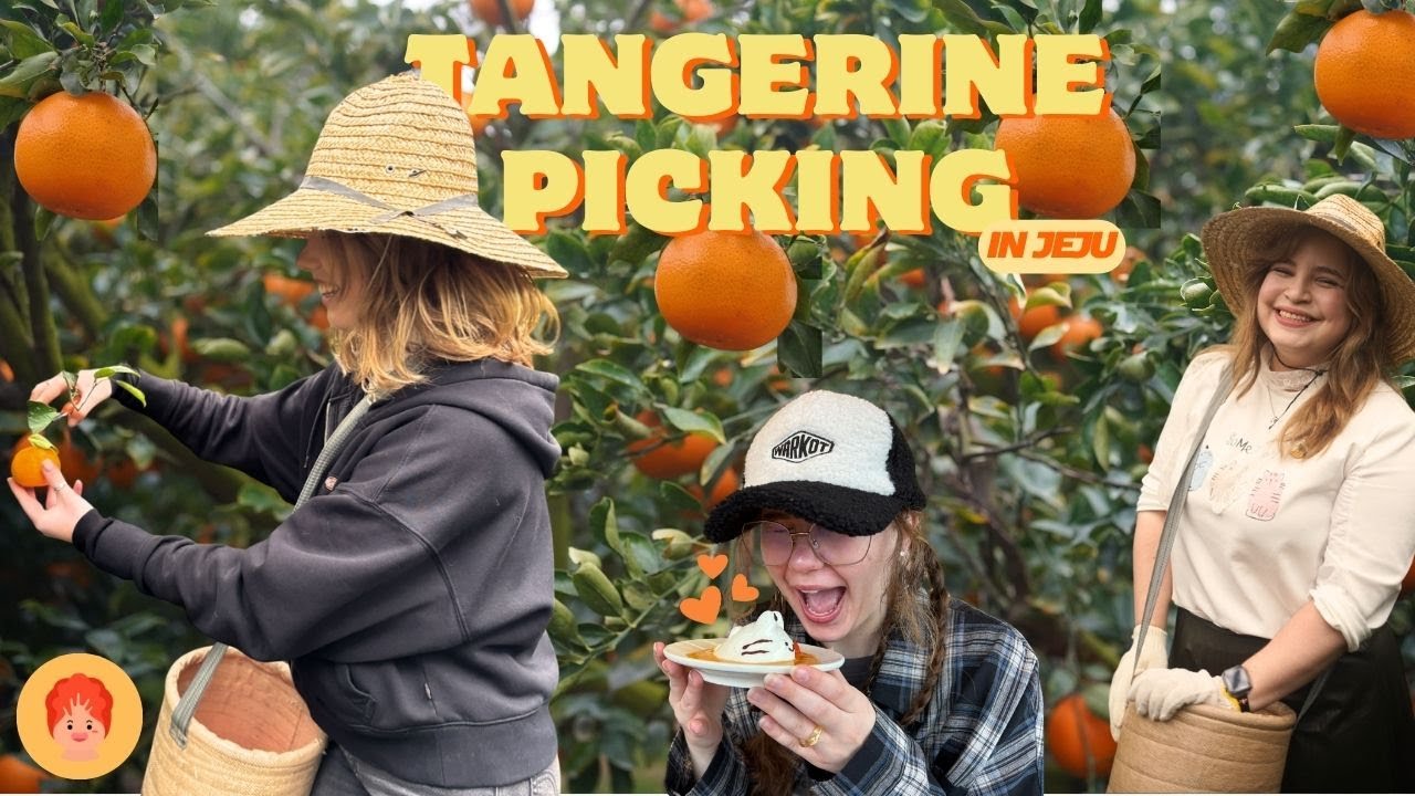 JEJUs Rainy Days | Picking Tangerines | Rail Bike | Wiggly Cafe | Top 12 Things to do | Part 3