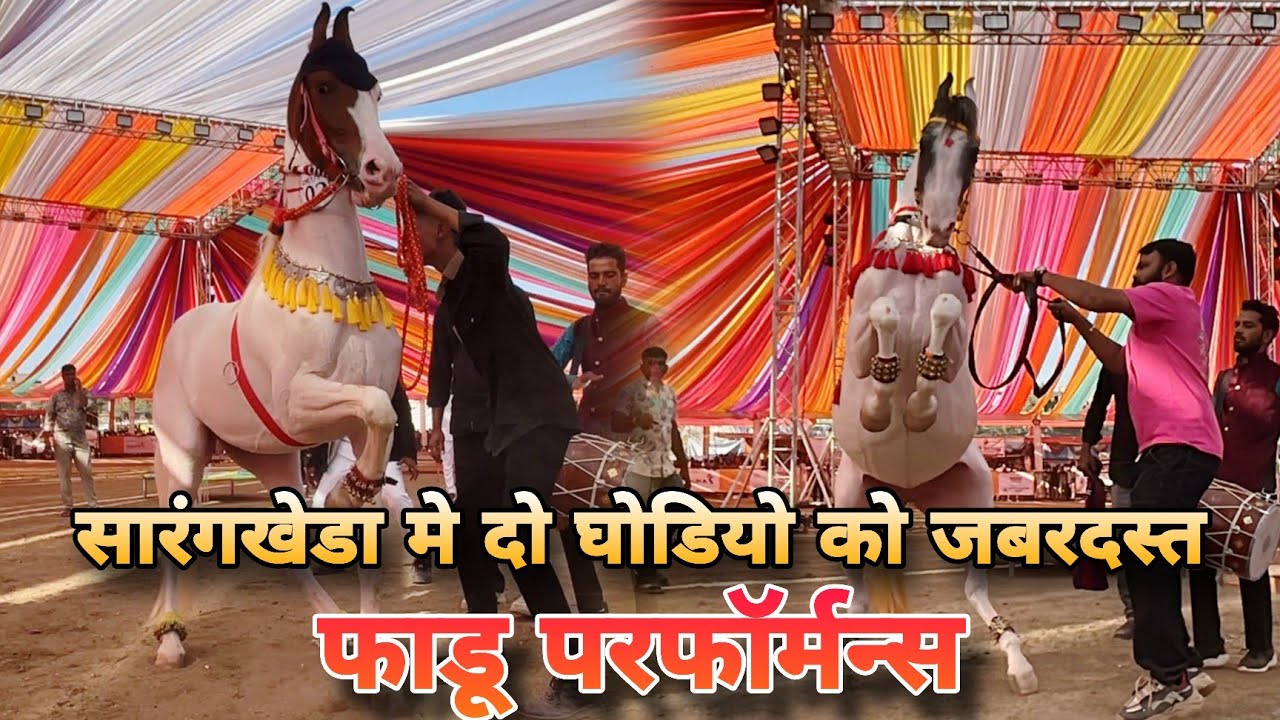डान्स प्रतियोगिता मे दो घोडियो जोरदार जलवा | Horse Dance Competition Sarangkheda 2025 