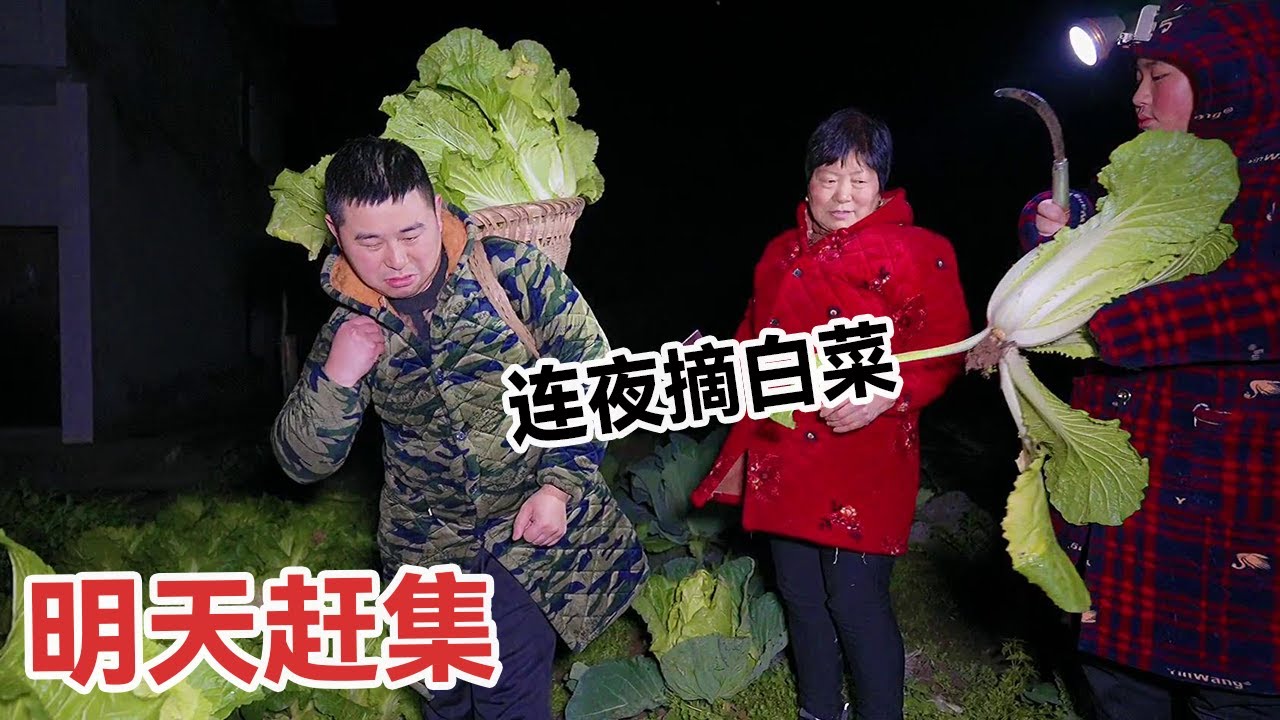 年底街上赶集，婆婆非要去卖菜，大晚上一家老小去挖大白菜【杨翠花V】