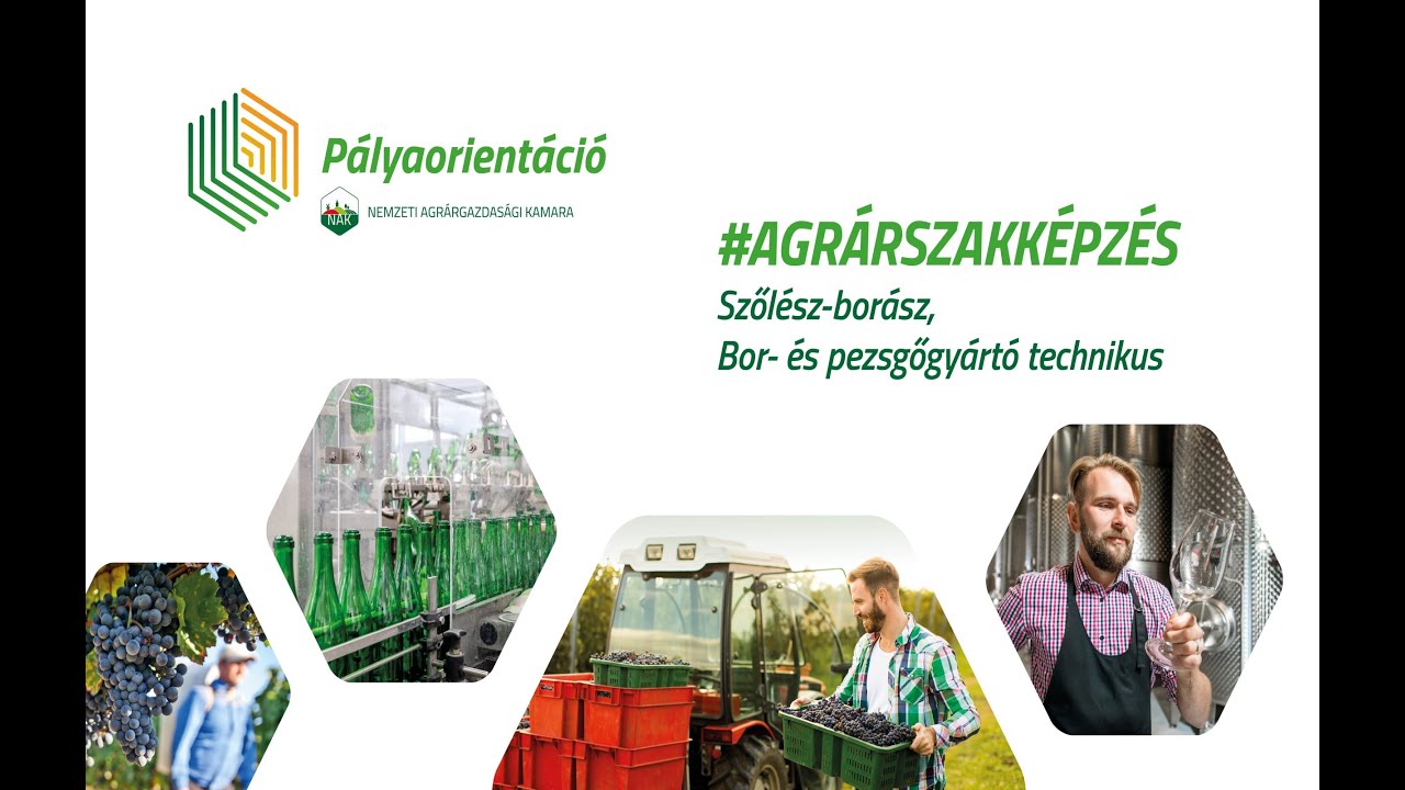 Legyél TE is AGRÁRDIÁK! - Szőlész-borász: Bor- és pezsgőgyártó technikus