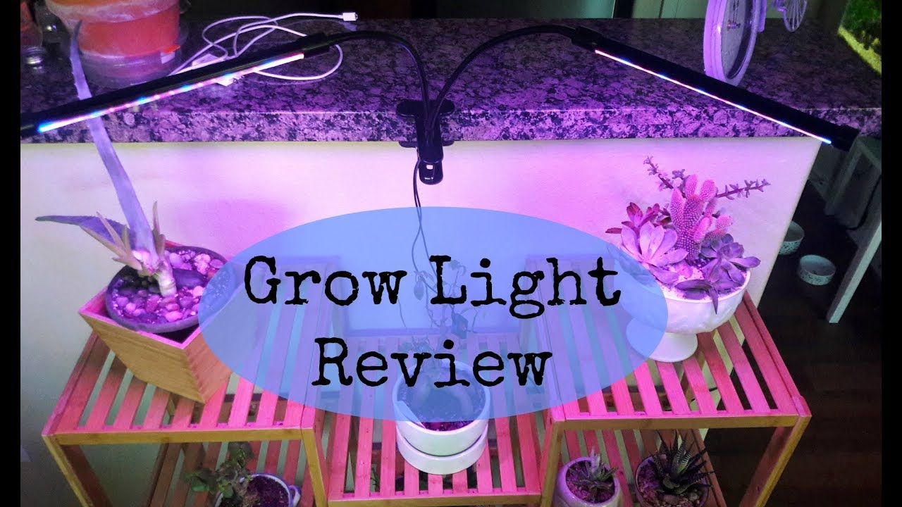 Grow Light Review (Aloe and Succulents under grow light)