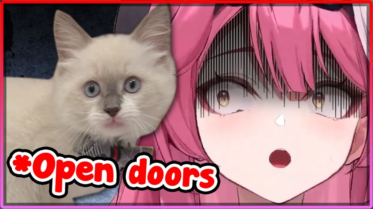[ENG SUB/Hololive] Raora experiences firsthand just how smart John Cat is