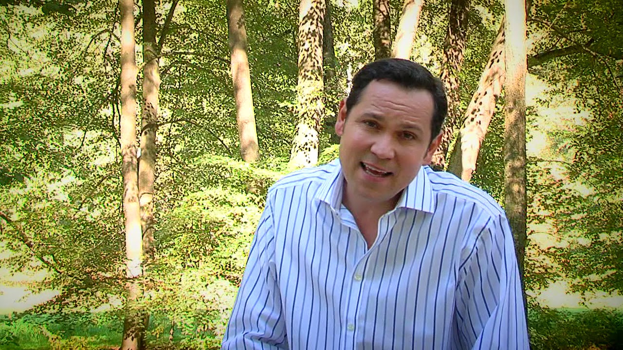 PAVEL VÍTEK - Léta prázdnin