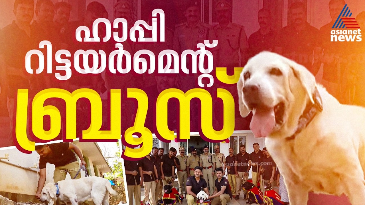 സ്‌നിഫർ ഡോഗിനെ പിരിയാൻ വയ്യ; നടപടികൾക്കൊടുവിൽ ബ്രൂസിനെ സ്വന്തമാക്കി രഞ്ജിത്ത് മോഹൻ