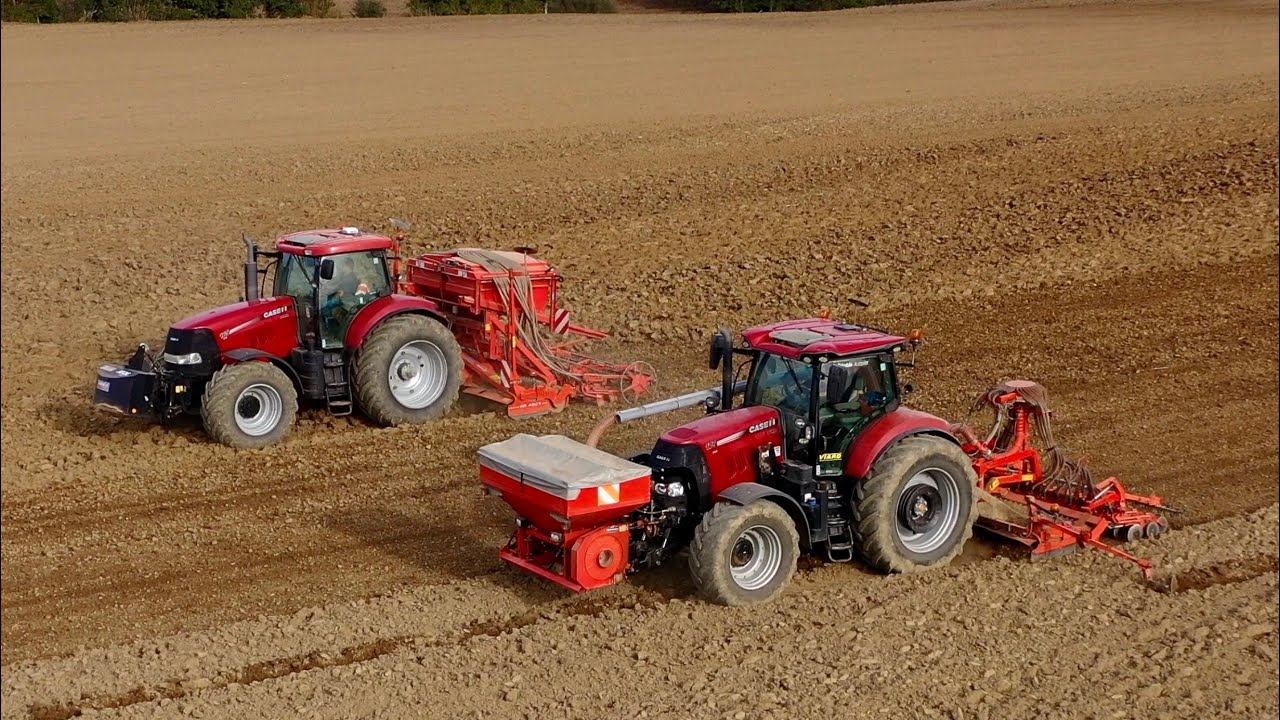 Une team Case IH au labour et semis de blé avec 2 charrues et 2 semoirs de 4 mètres ! 🔴🌾