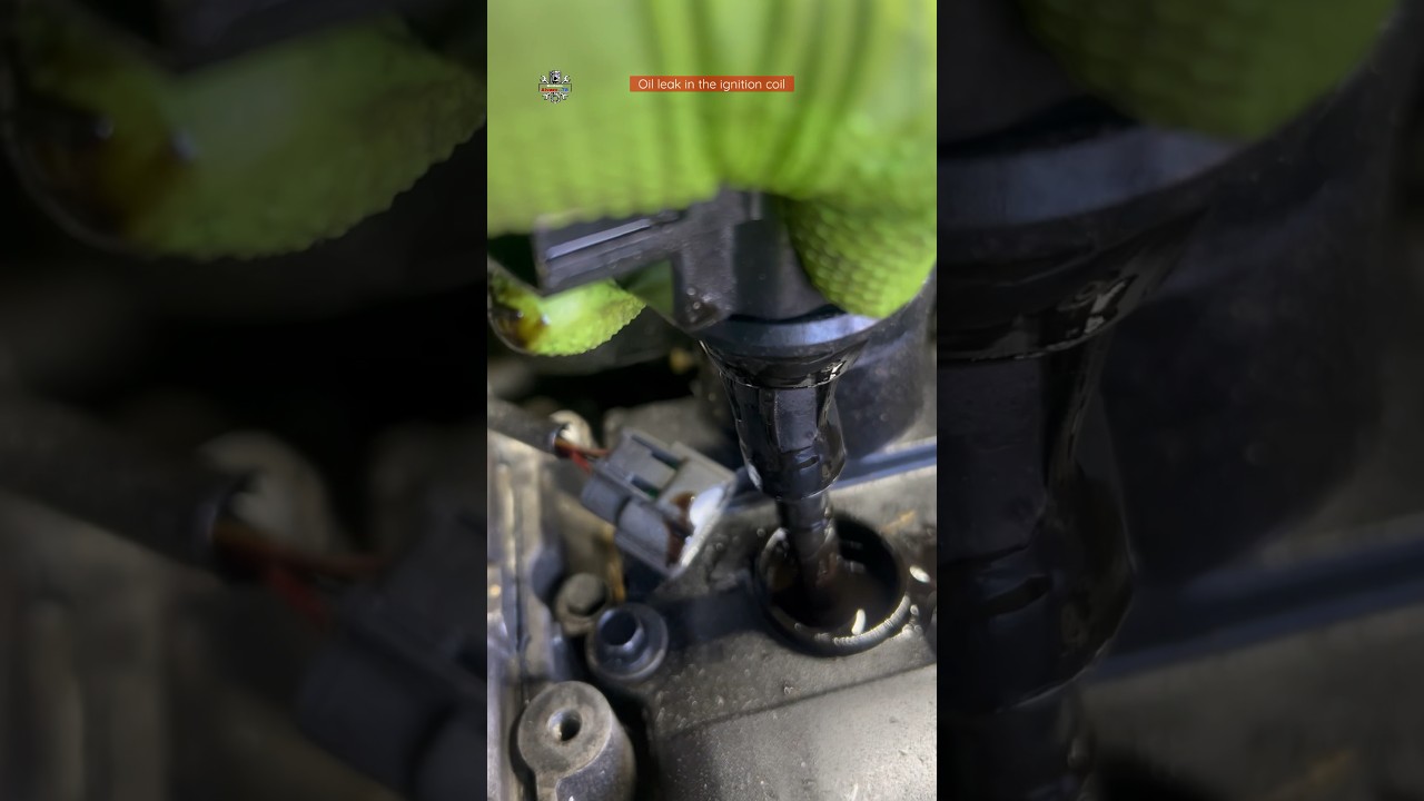 Oil leak ignition coils❌⚠️ #shortsfeed #shortvideo #feed #shorts #short #ignitioncoil #fyp #mechanic