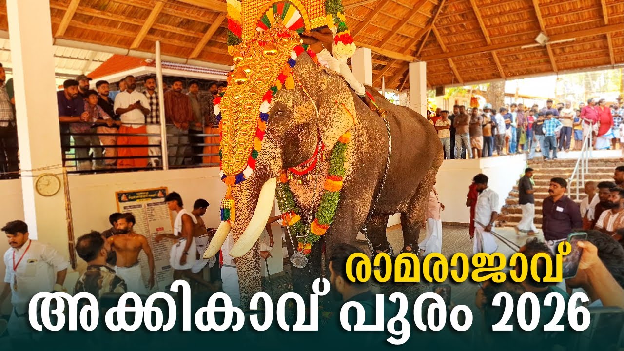 Thechikottukavu Ramachandran Akkikavu Pooram 2026 | Akkikavu Pooram 2026 | Raman Akkikavu Pooram