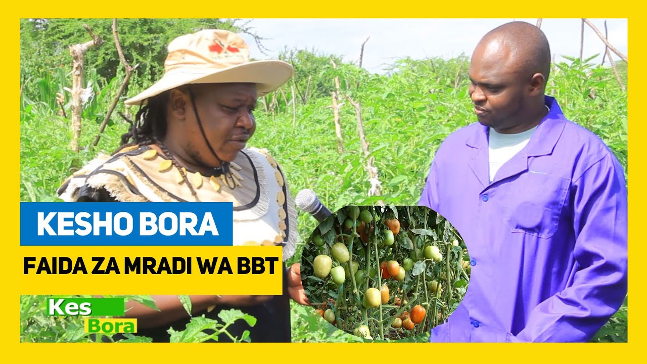 #TBC1: SHAMBANI KESHO BORA| HUYU HAPA MRISHO MPOTO AKIELEZA FAIDA ZA MRADI WA BBT