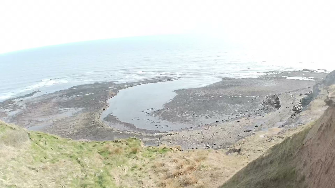 A short walk above Cornelian Bay (Scarborough)