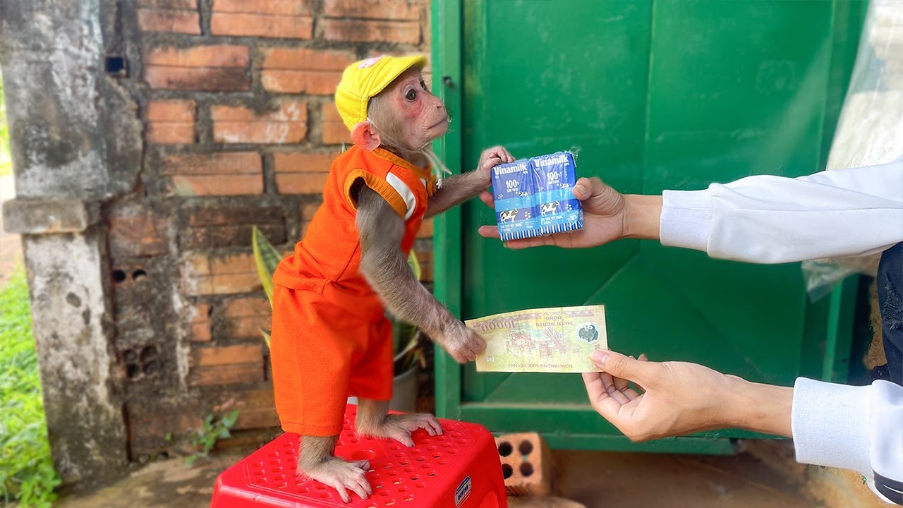 Smart Cubis buys milk to take care of sick Aunt!