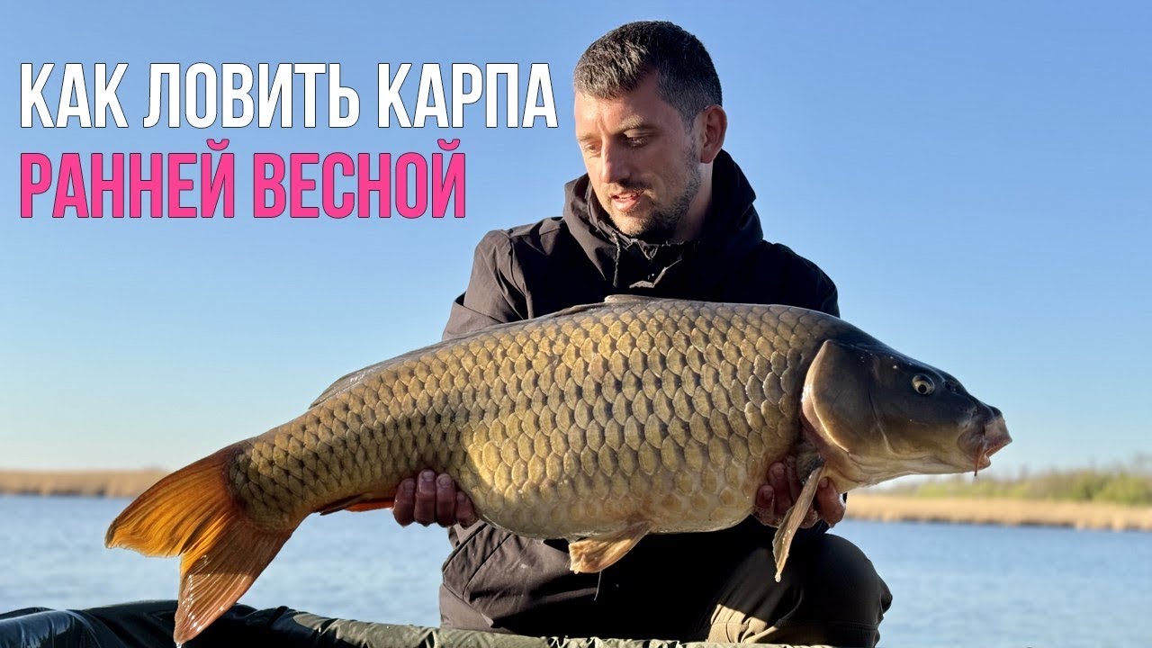 Ловля карпа СОРЕВНОВАНИЯ. Тяжелая победа. Как ловить ранней весной? Карпфишинг