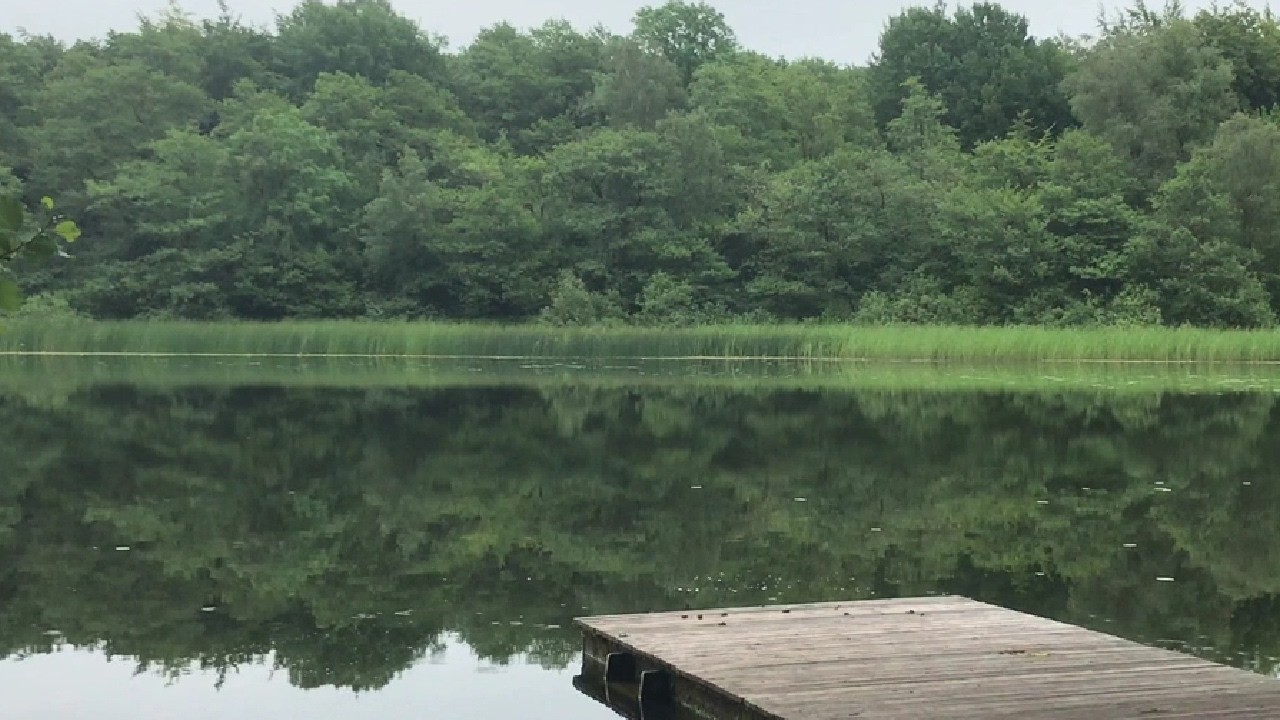 Calm summer lake