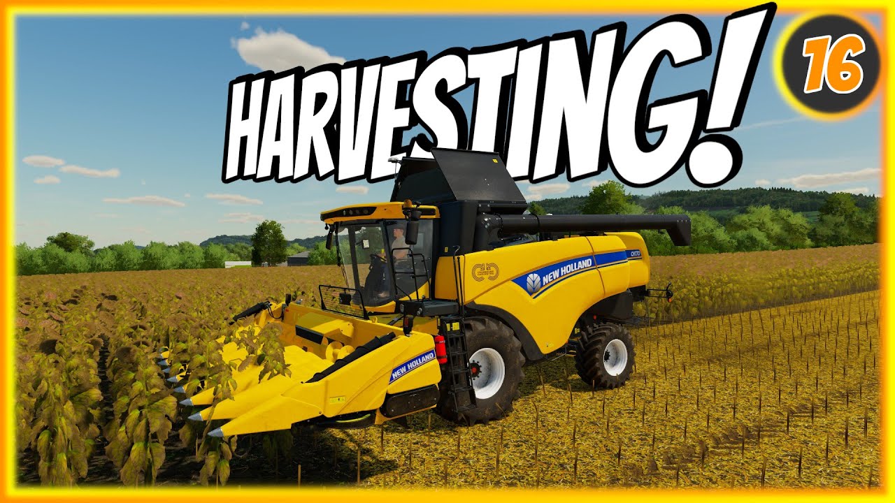 HARVESTING A Big Field! | FS22 Survival | Court Farm Ep 16