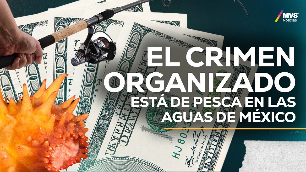 T6:E5 TRÁFICO DE ESPECIES: La nueva cara del CRIMEN ORGANIZADO en México