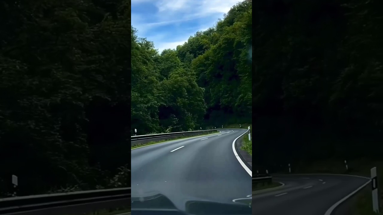 The Most Scenic Road Trip Ever? | Breathtaking Forest Drive. #shorts #viral @ROADCATION