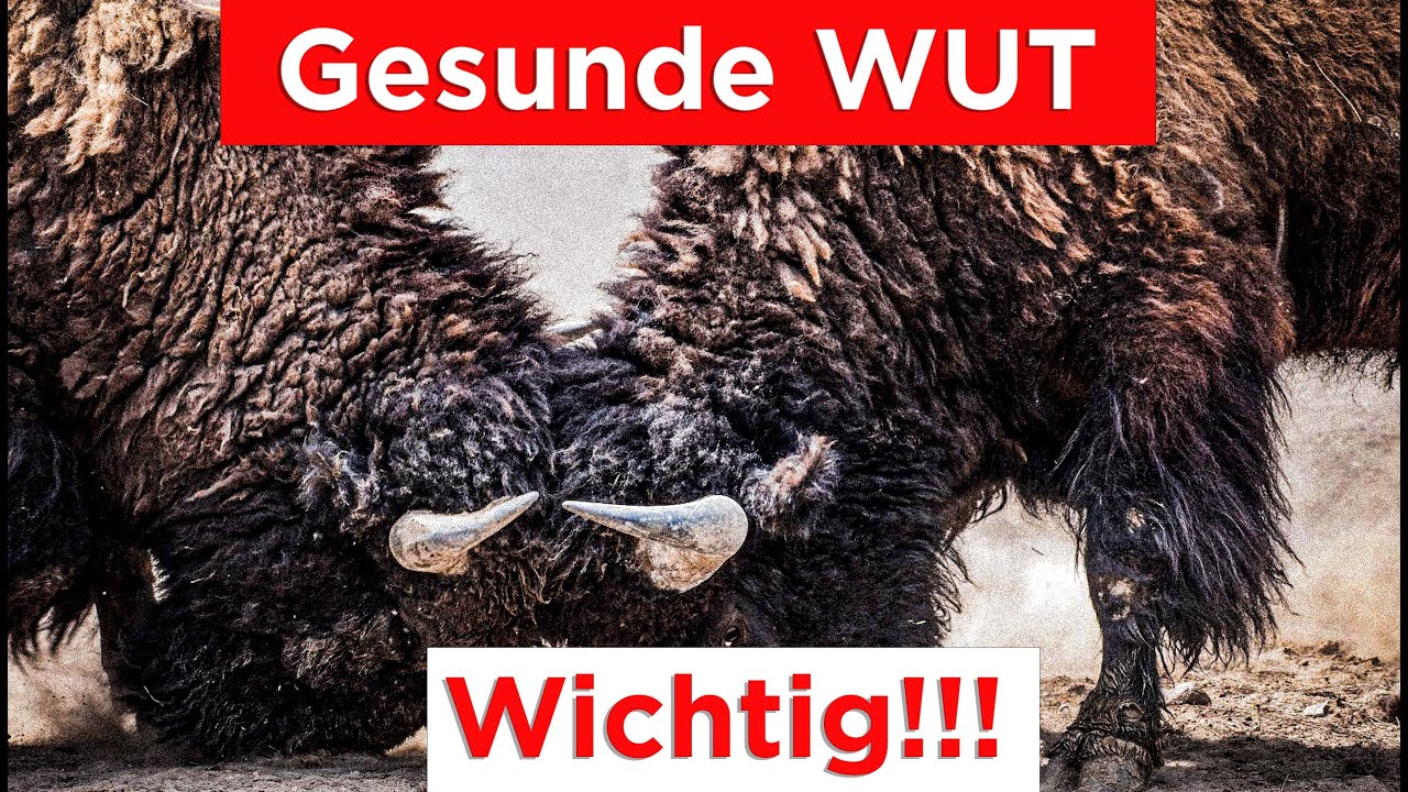 Wut & Ärger transformieren | Heilung chronischer Muster