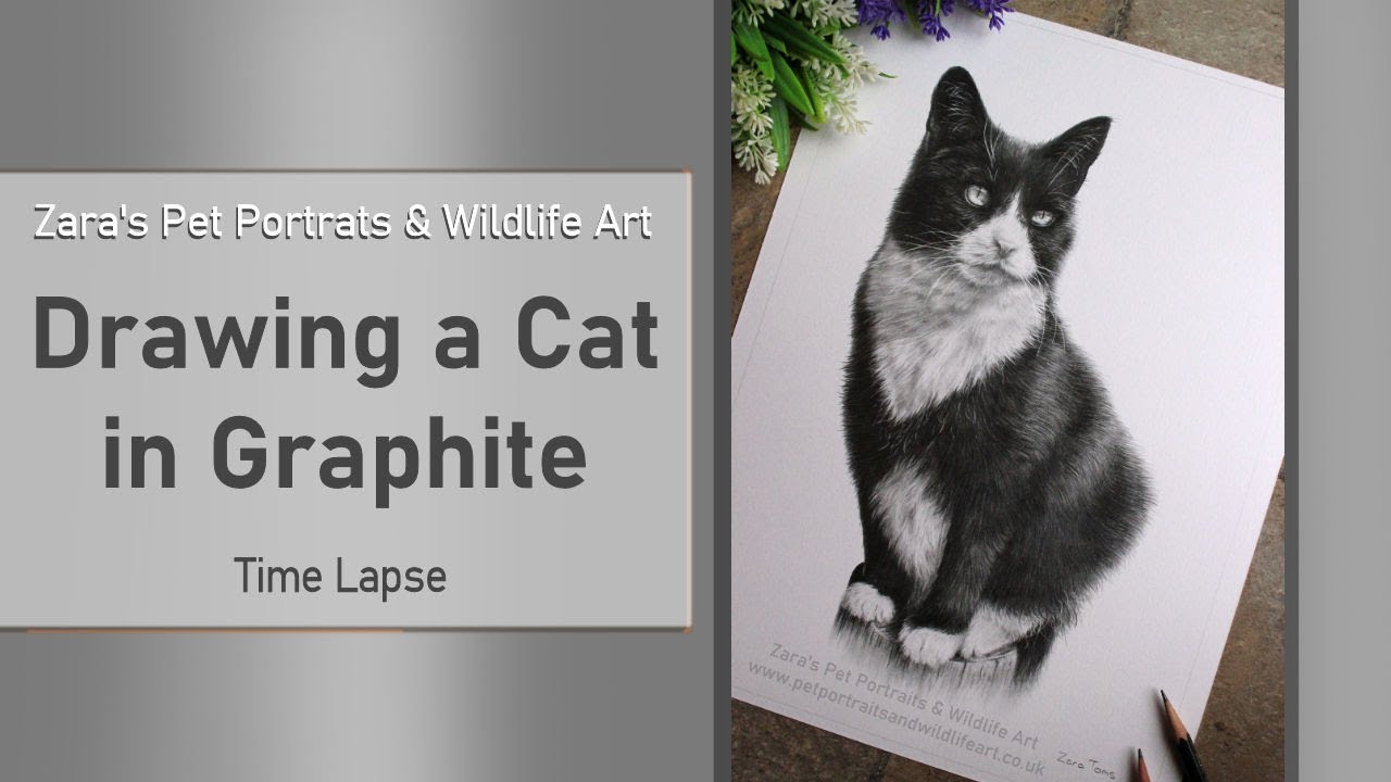 Cat in Graphite | Pet Portrait