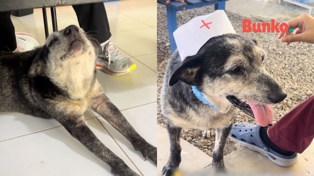 Nancy Luc&iacute;a: de vagar en las calles, a convertirse en una enfermera rural en ecuador🏥🐾