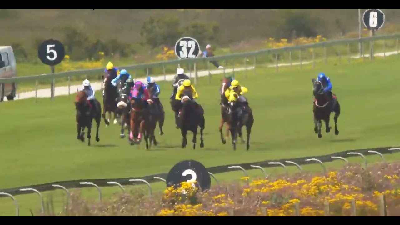 TIPSY TINA - race 1 #fairview 18 October 2022