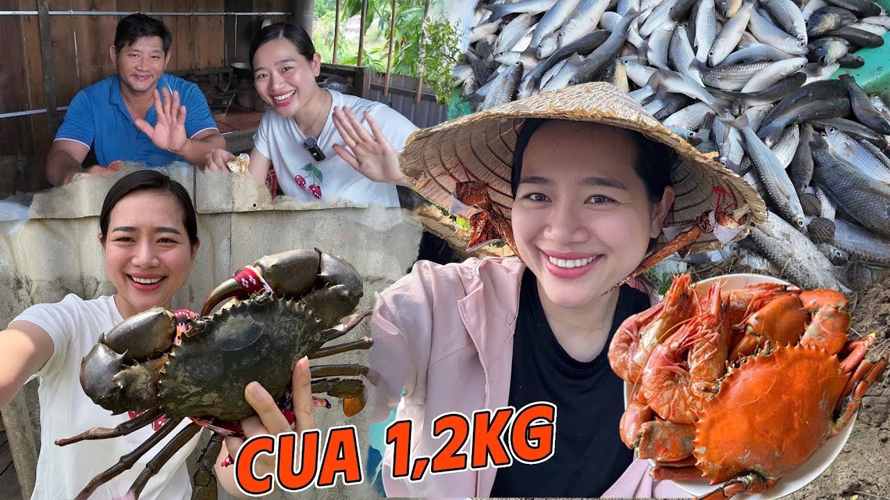 Cha xổ vuông được Cua nặng 1,2Kg - Cá đối kho mía và Canh chua cơm mẻ cùng Anh Chị 2 | ÁNH KUA
