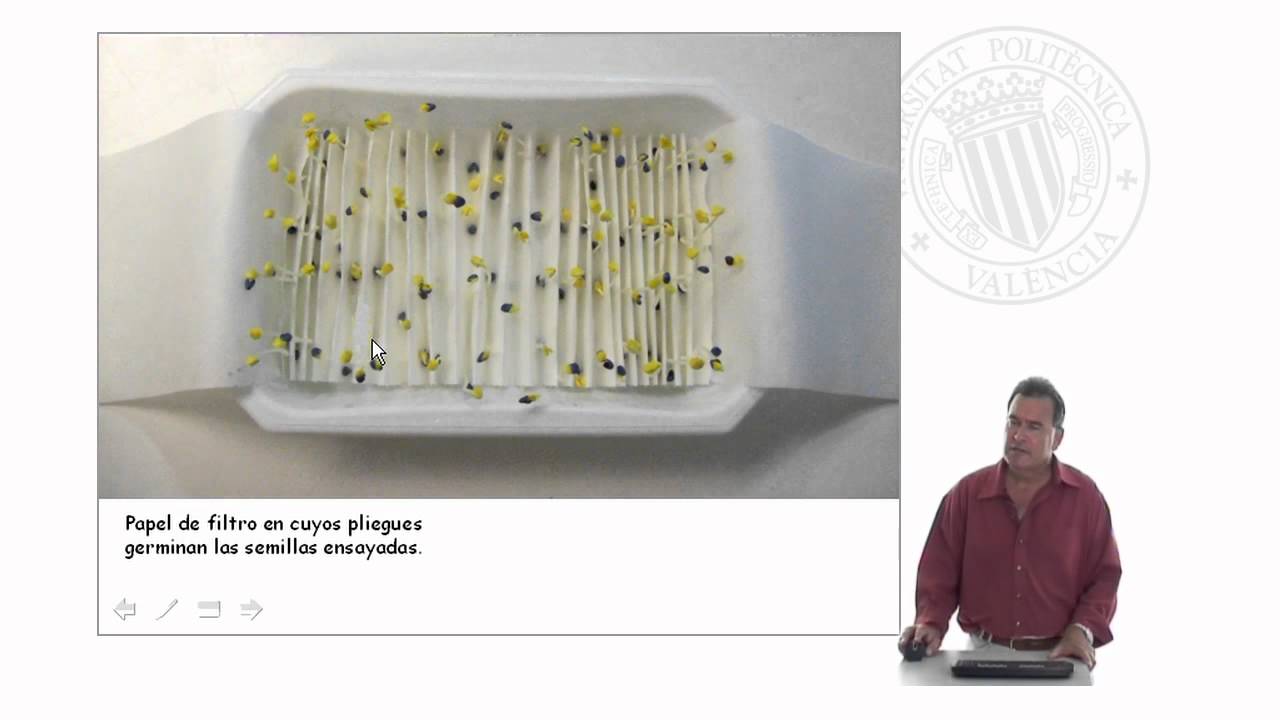 Pureza y Germinación de un lote de Semillas |  | UPV