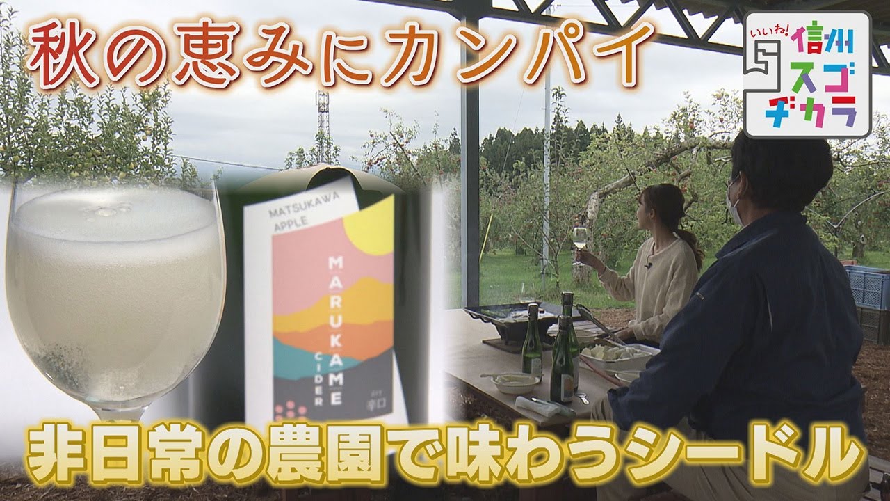 非日常の農園で味わうシードル / 秋の恵みにカンパイ ～シードルとワインで訪れたくなる町へ～①（いいね！信州スゴヂカラ 2021年11月13日）